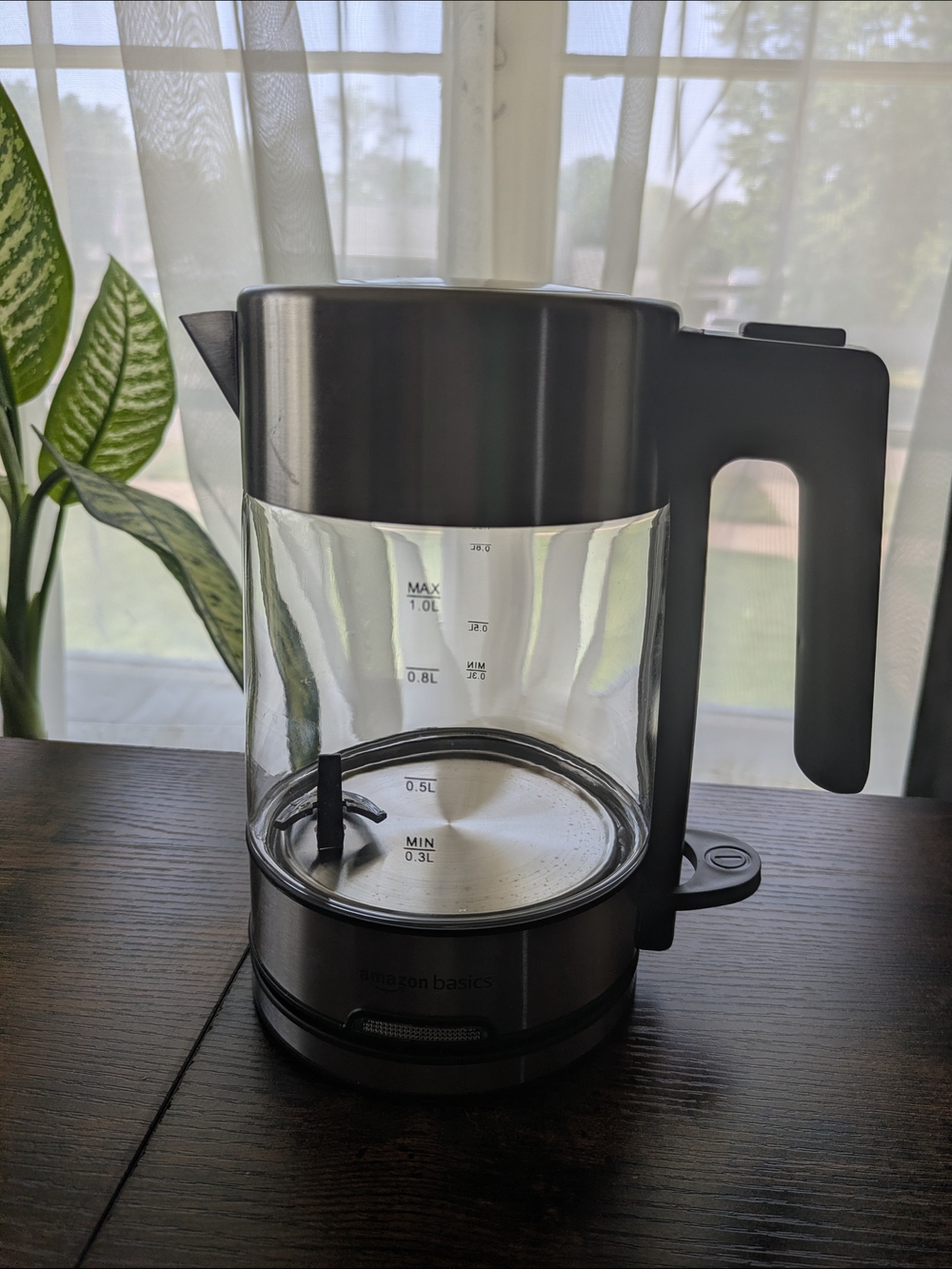 Stainless Steel & Glass Electric Kettle